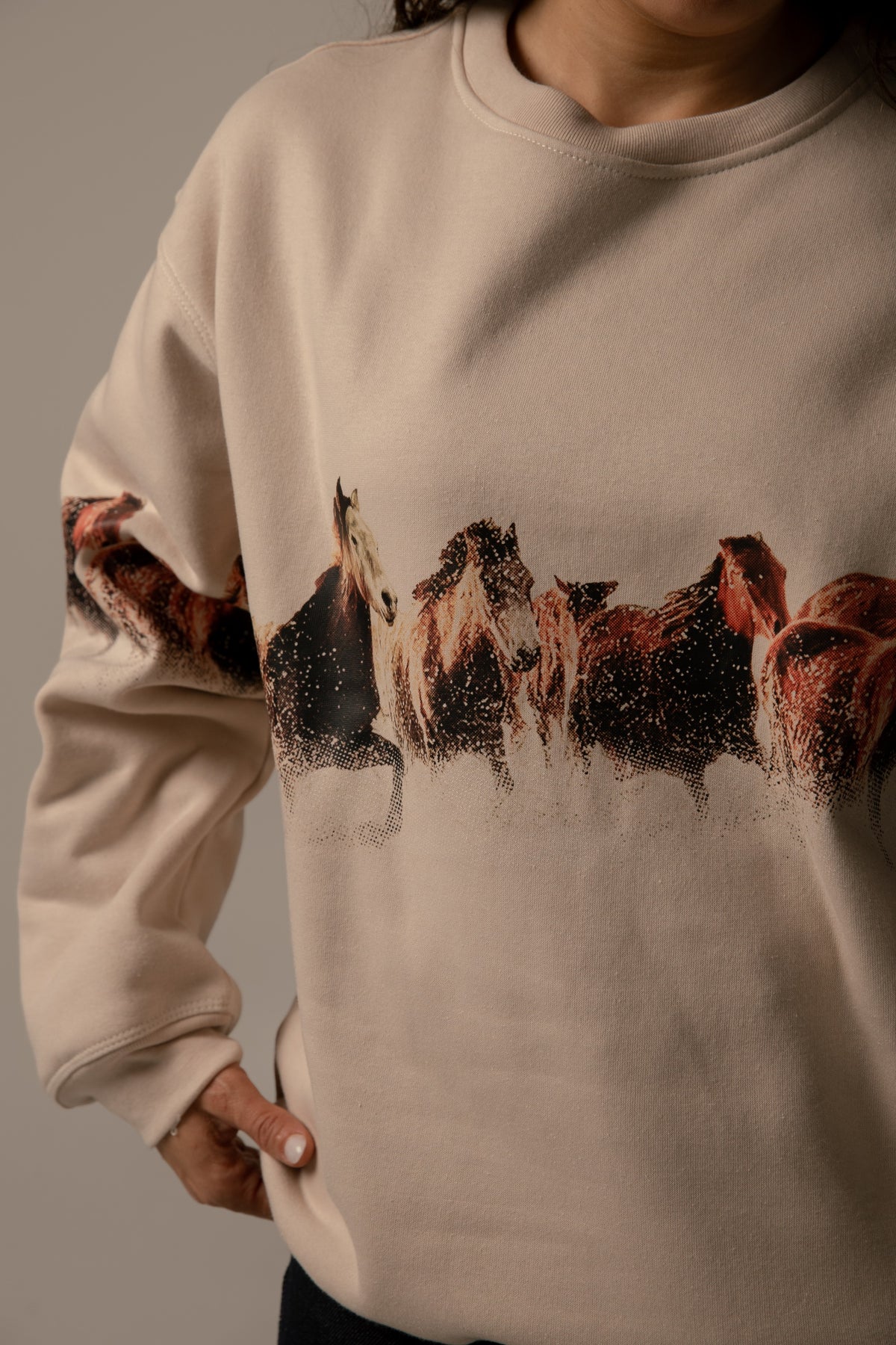 Sudadera Estampida Caballos