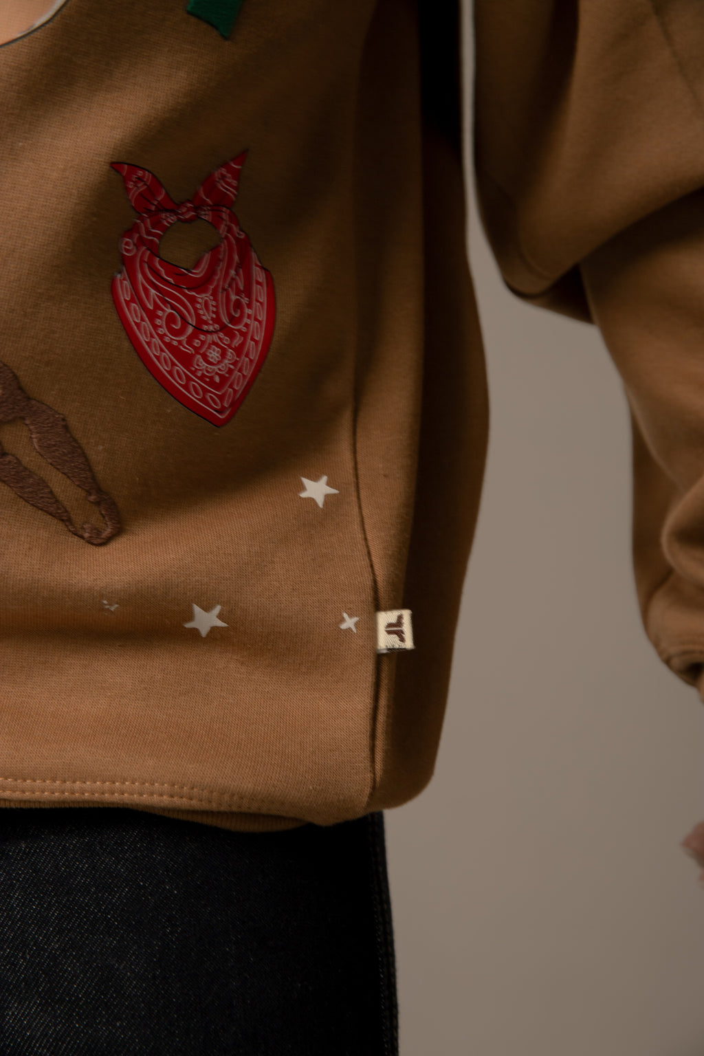 Sudadera Wanderfest