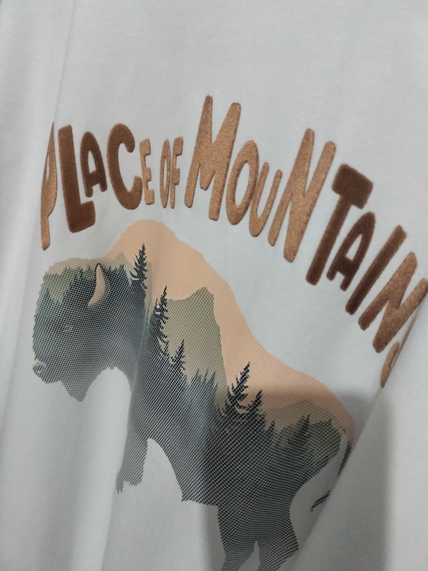 Playera Place of Mountains